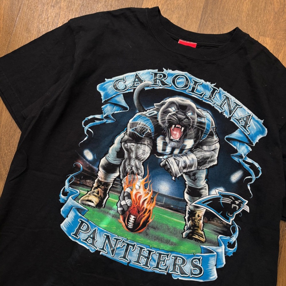 Vtg Y2K NFL Anvil Tag Carolina Panthers Large Graphic Football Graphic T Shirt